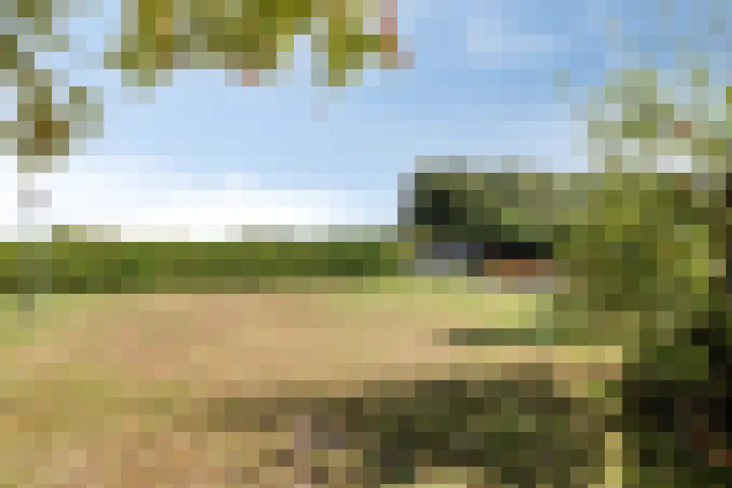 De Gebuurte 5 Overslag thumbnail 34