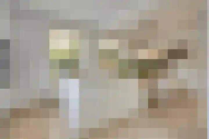 De Geelgieter 9 Veldhoven thumbnail 10