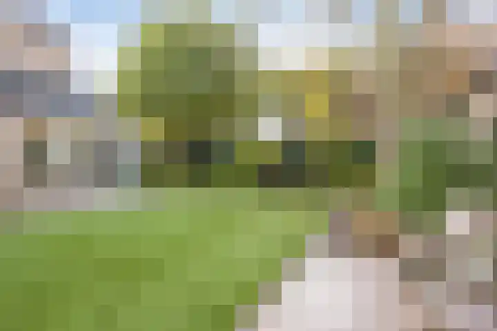 De Geelgieter 9 Veldhoven thumbnail 25