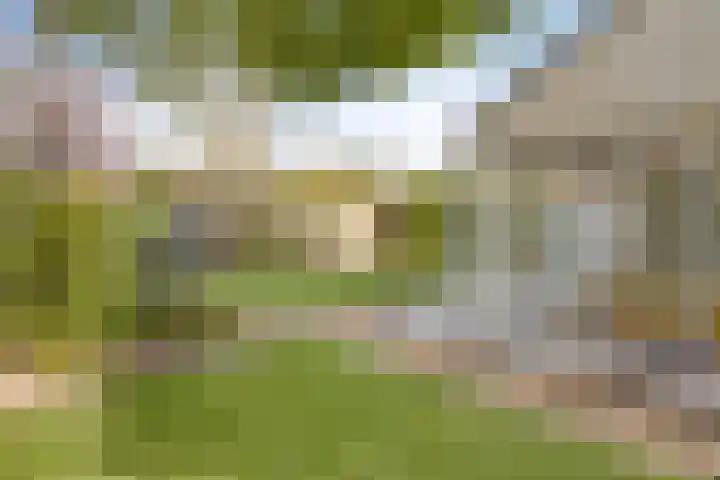 De Geelgieter 9 Veldhoven thumbnail 30