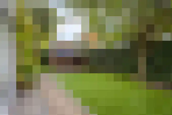 De Geelgieter 9 Veldhoven thumbnail 31