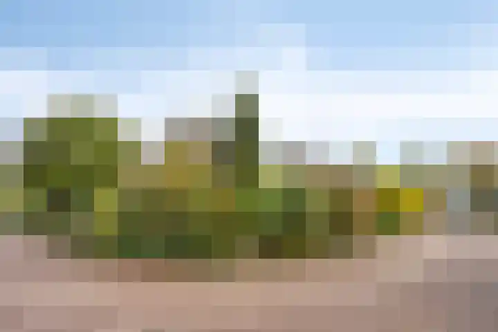 De Geelgieter 9 Veldhoven thumbnail 34