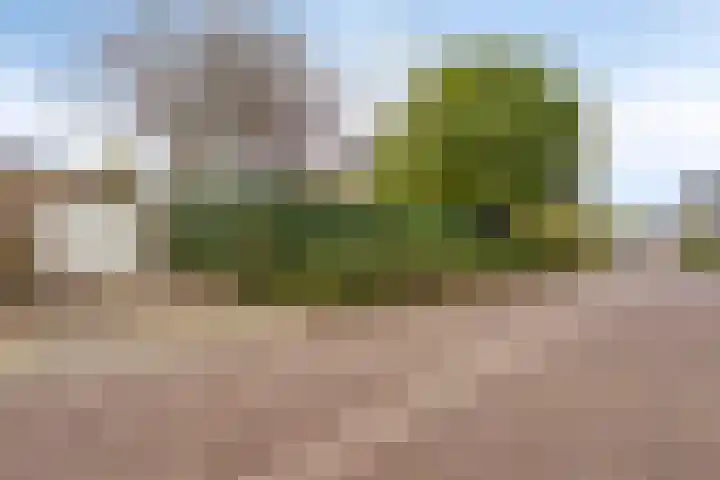 De Geelgieter 9 Veldhoven thumbnail 36