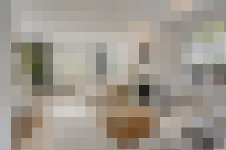 De Geelgieter 9 Veldhoven thumbnail 4
