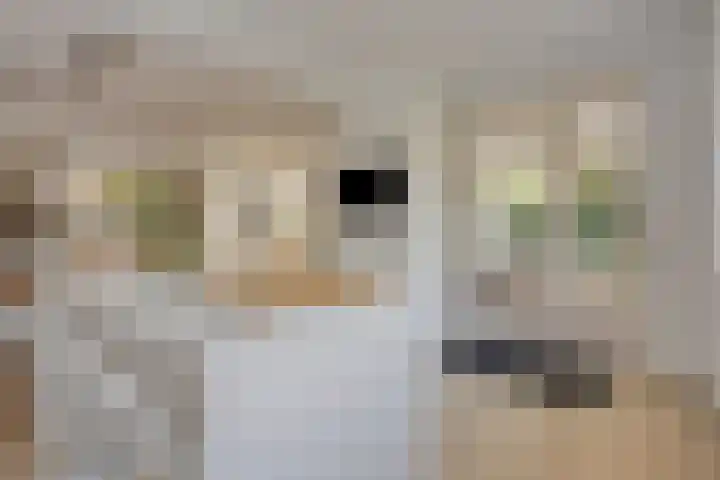 De Geelgieter 9 Veldhoven thumbnail 9