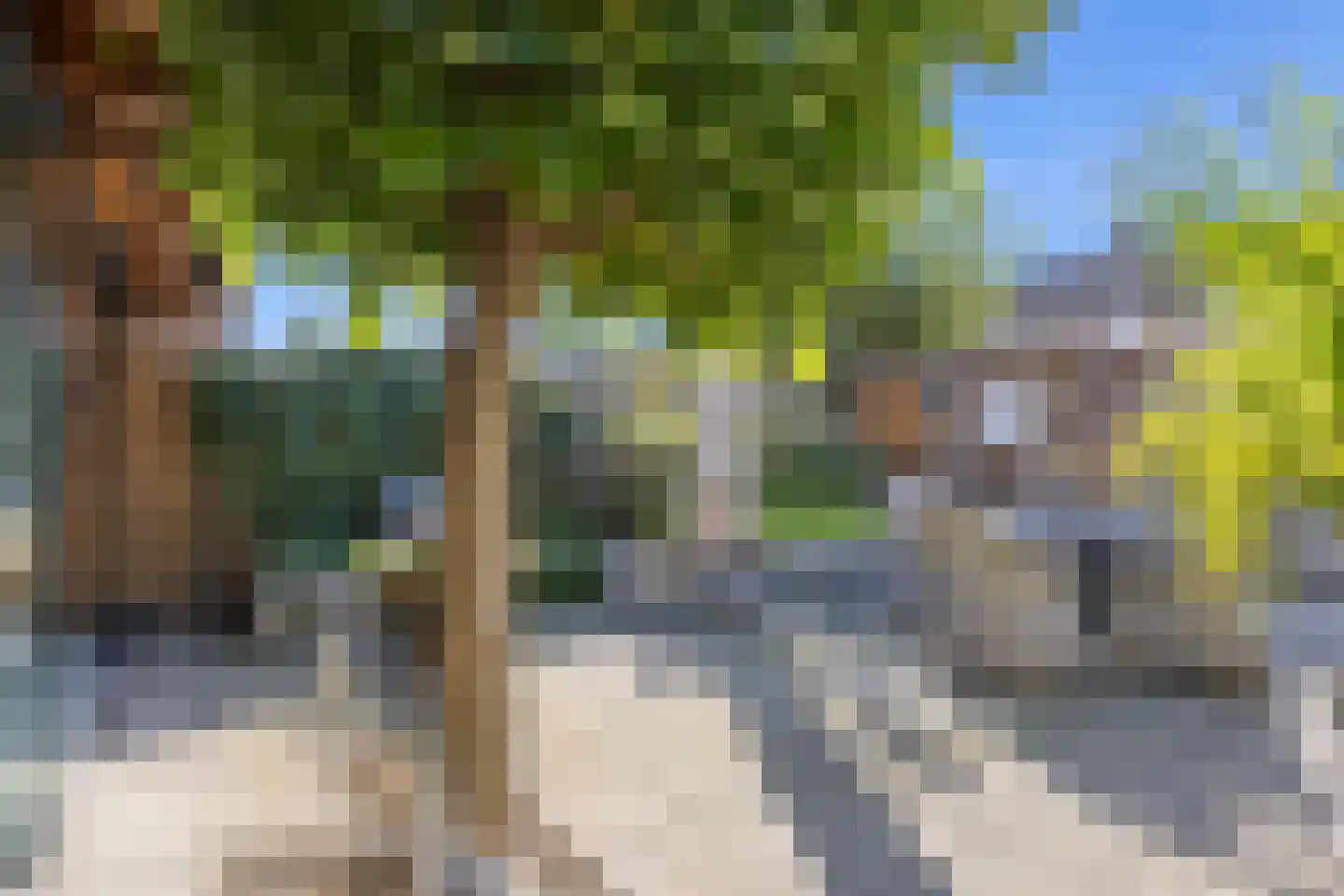 De Geelgors 30 Sint-Michielsgestel thumbnail 30