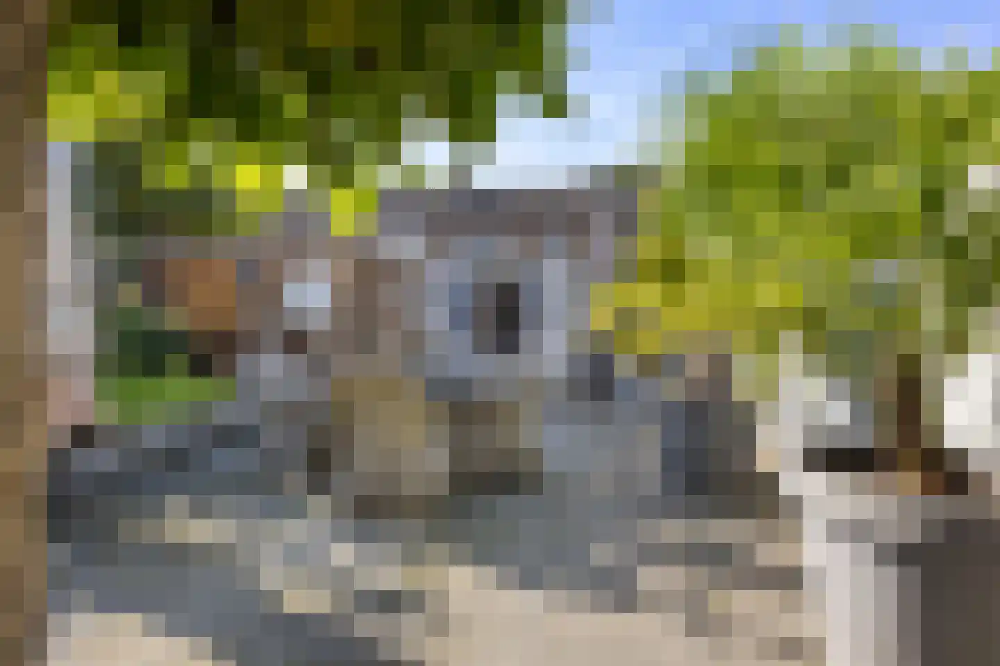De Geelgors 30 Sint-Michielsgestel thumbnail 32