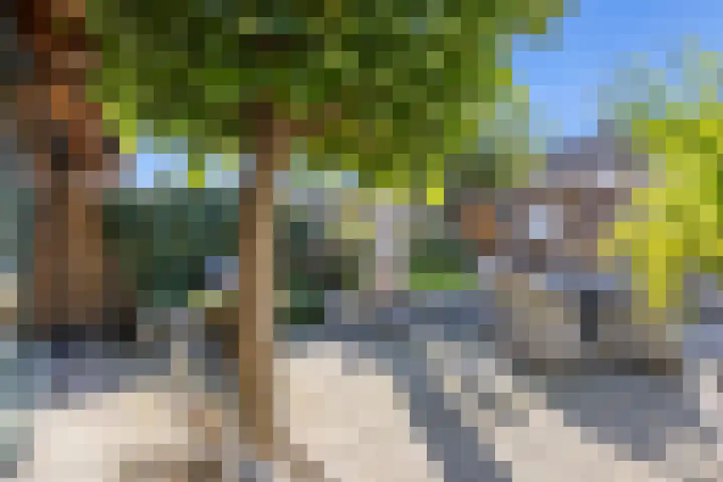 De Geelgors 30 Sint-Michielsgestel thumbnail 5