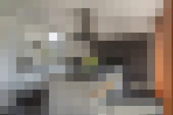 De Geelgors 60 Sint-Michielsgestel thumbnail 10