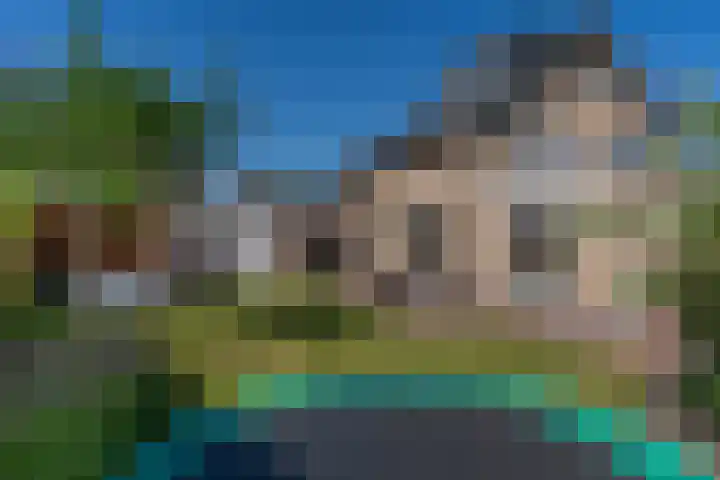 De Geelgors 60 Sint-Michielsgestel thumbnail 24
