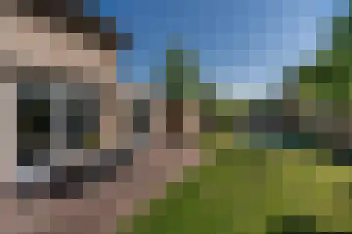 De Geelgors 60 Sint-Michielsgestel thumbnail 25