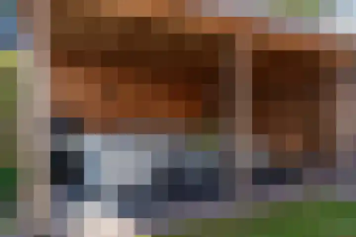 De Geelgors 60 Sint-Michielsgestel thumbnail 26