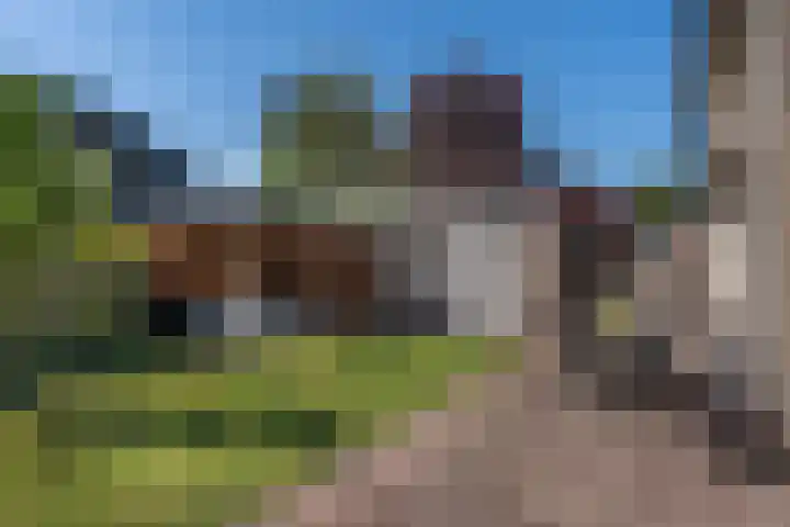 De Geelgors 60 Sint-Michielsgestel thumbnail 28