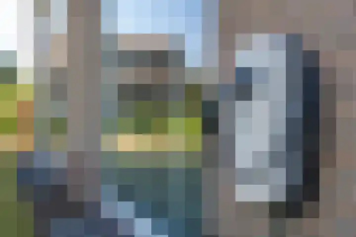 De Geelgors 60 Sint-Michielsgestel thumbnail 29