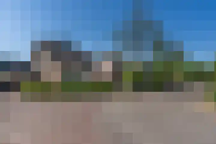 De Geelgors 60 Sint-Michielsgestel thumbnail 32