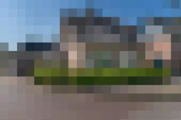 De Geelgors 60 Sint-Michielsgestel thumbnail 33