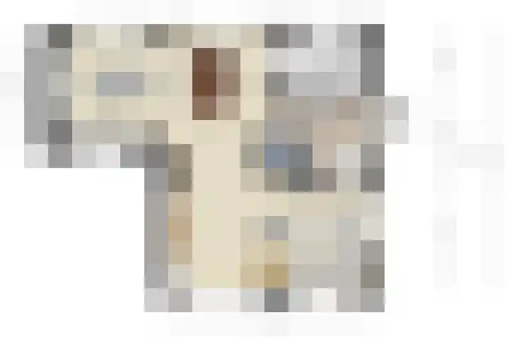 De Geelgors 60 Sint-Michielsgestel thumbnail 35