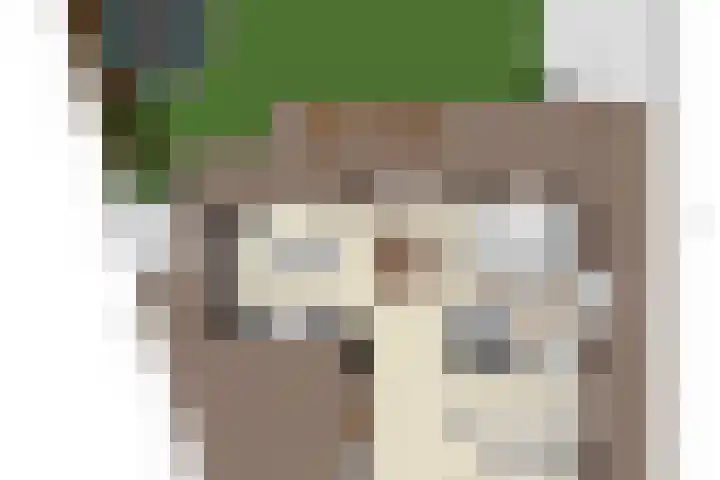 De Geelgors 60 Sint-Michielsgestel thumbnail 36