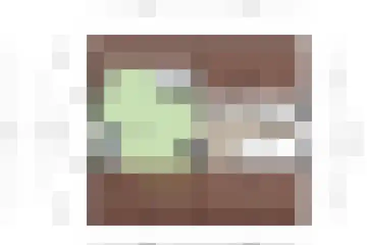 De Geelgors 60 Sint-Michielsgestel thumbnail 40