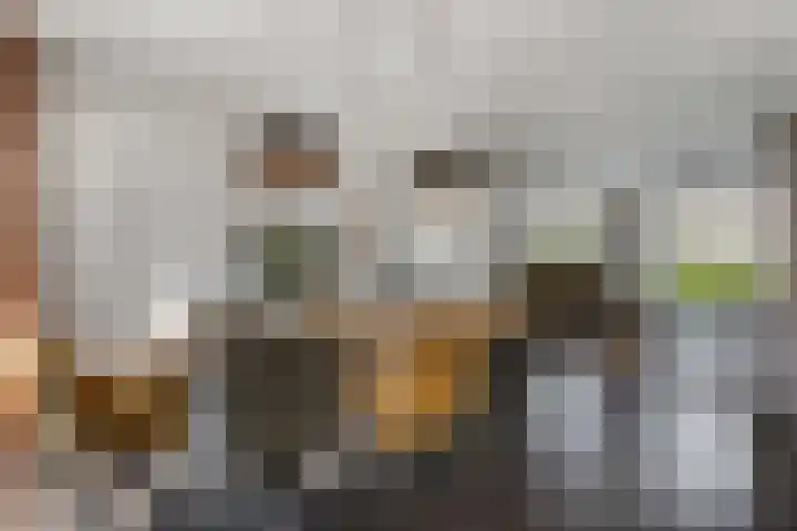 De Geelgors 60 Sint-Michielsgestel thumbnail 8