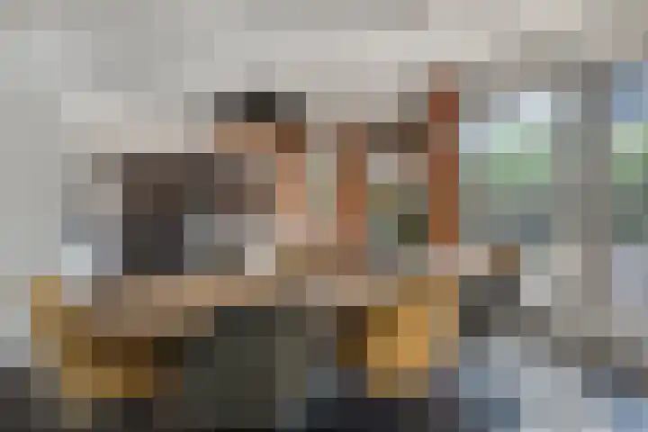 De Geelgors 60 Sint-Michielsgestel thumbnail 9
