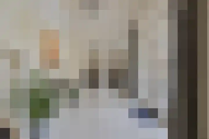 de Geelgors 9 Mariahout thumbnail 11