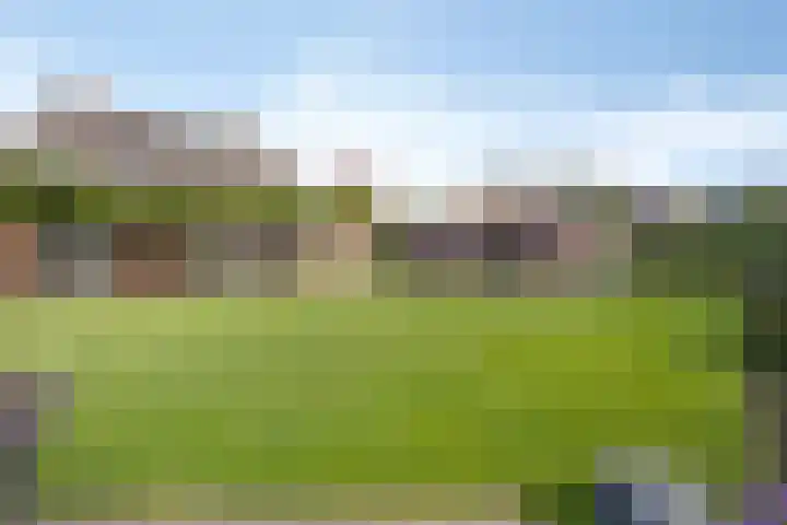 de Geelgors 9 Mariahout thumbnail 5