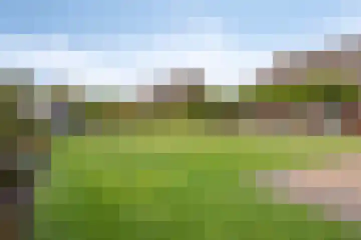 de Geelgors 9 Mariahout thumbnail 50