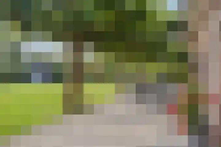 de Geelgors 9 Mariahout thumbnail 54