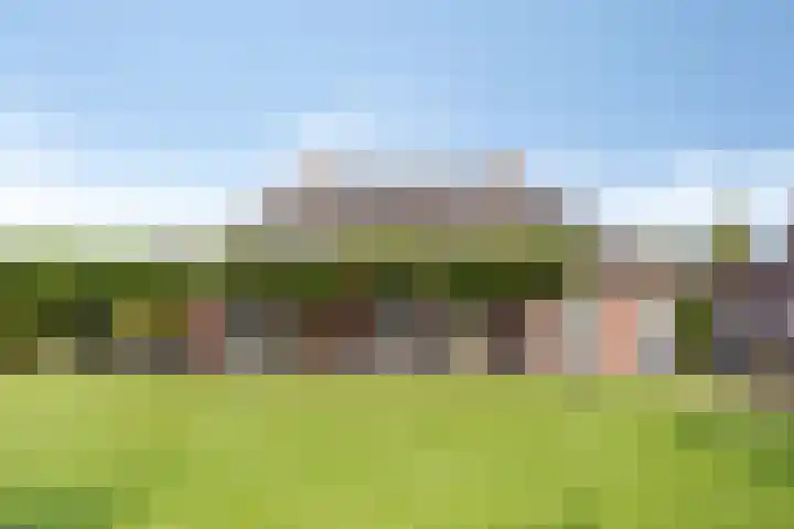 de Geelgors 9 Mariahout thumbnail 56