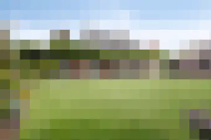 de Geelgors 9 Mariahout thumbnail 57