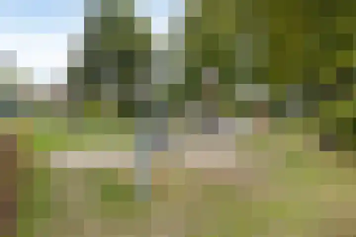 de Geelgors 9 Mariahout thumbnail 60