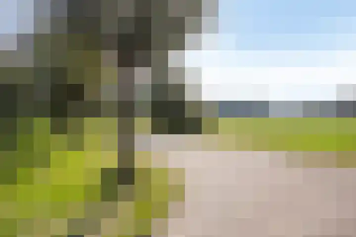 de Geelgors 9 Mariahout thumbnail 61