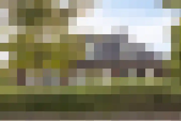 de Geelgors 9 Mariahout thumbnail 7