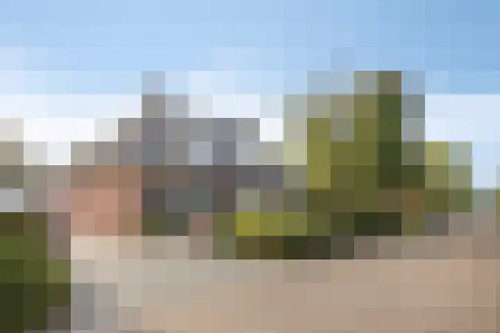 de Geelgors 9 Mariahout thumbnail 8