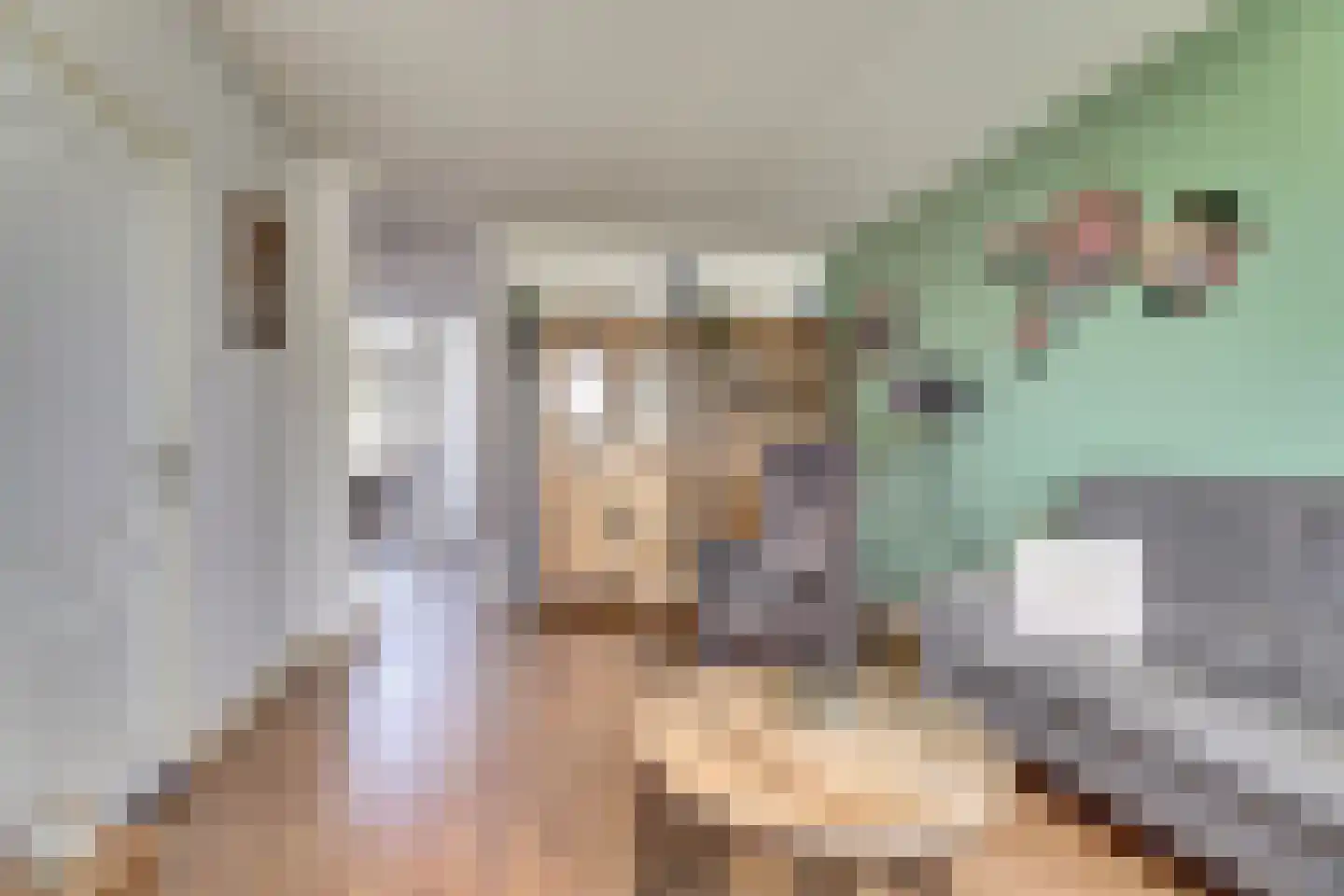 De Geep 18 Makkum thumbnail 5