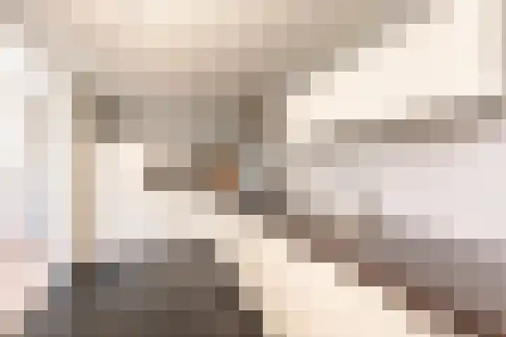 De Geep 20 Makkum thumbnail 12