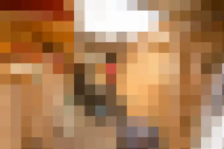 De Geep 20 Makkum thumbnail 18