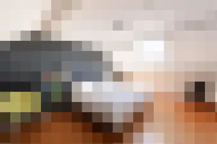 De Geep 20 Makkum thumbnail 24