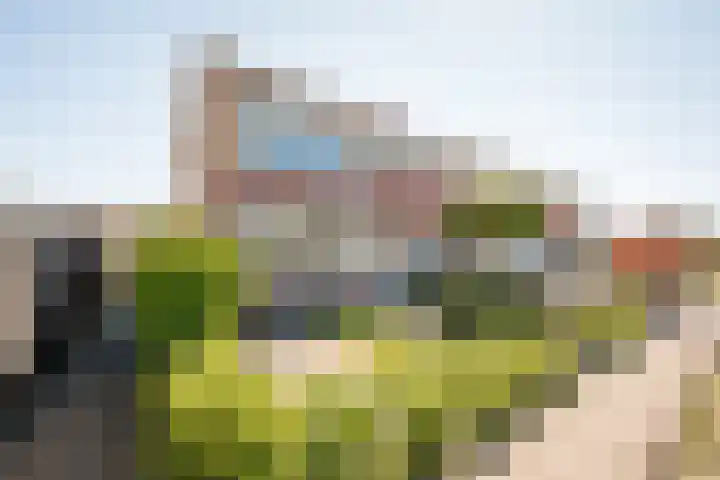 De Geep 20 Makkum thumbnail 25