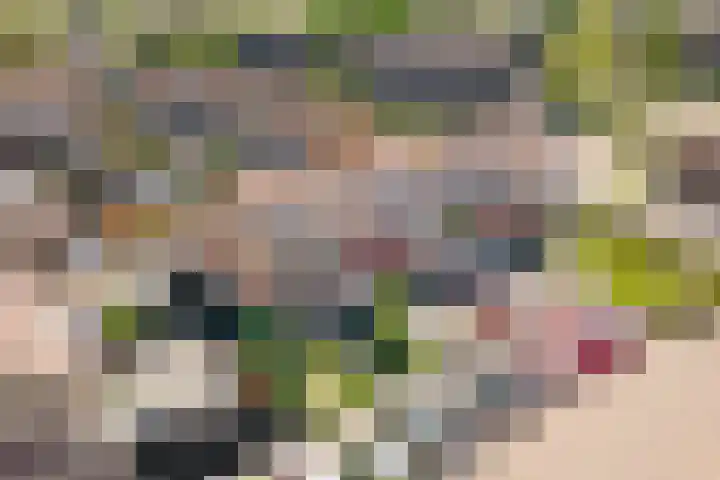 De Geep 20 Makkum thumbnail 26