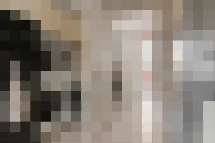 De Geer 1 Ophemert thumbnail 10