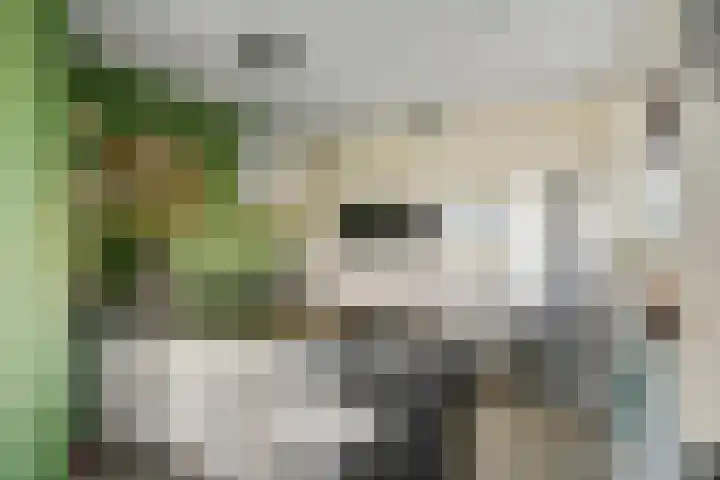 De Geer 1 Ophemert thumbnail 11