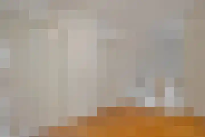 De Geer 1 Ophemert thumbnail 12