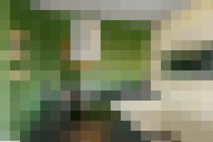 De Geer 1 Ophemert thumbnail 13