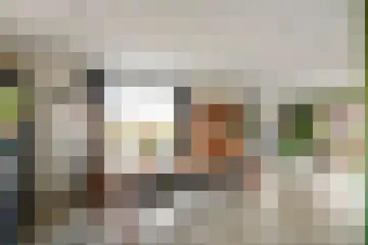 De Geer 1 Ophemert thumbnail 14