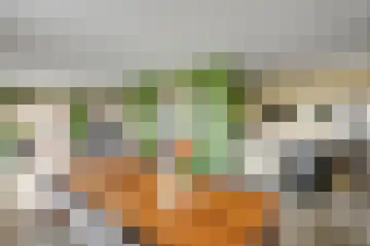 De Geer 1 Ophemert thumbnail 15