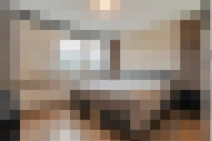 De Geer 1 Ophemert thumbnail 16