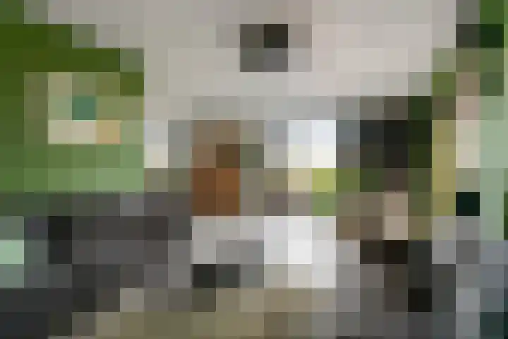 De Geer 1 Ophemert thumbnail 18
