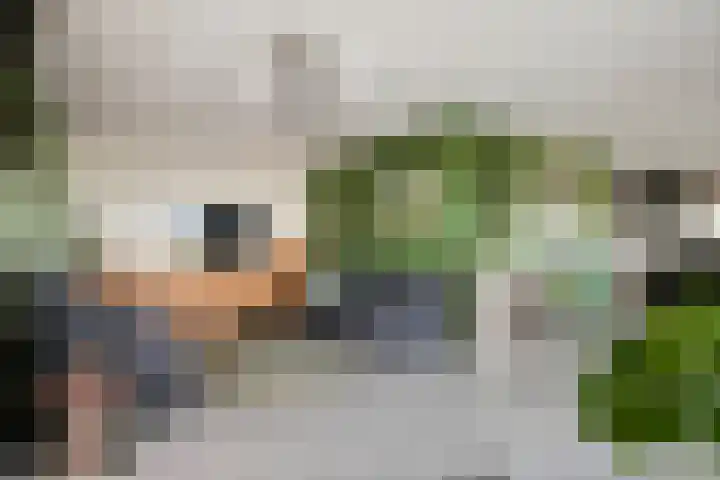 De Geer 1 Ophemert thumbnail 19